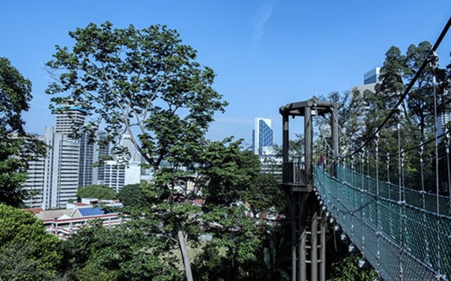 Kuala Lumpur Bukit Nanas Forest Reserve Landscape Image